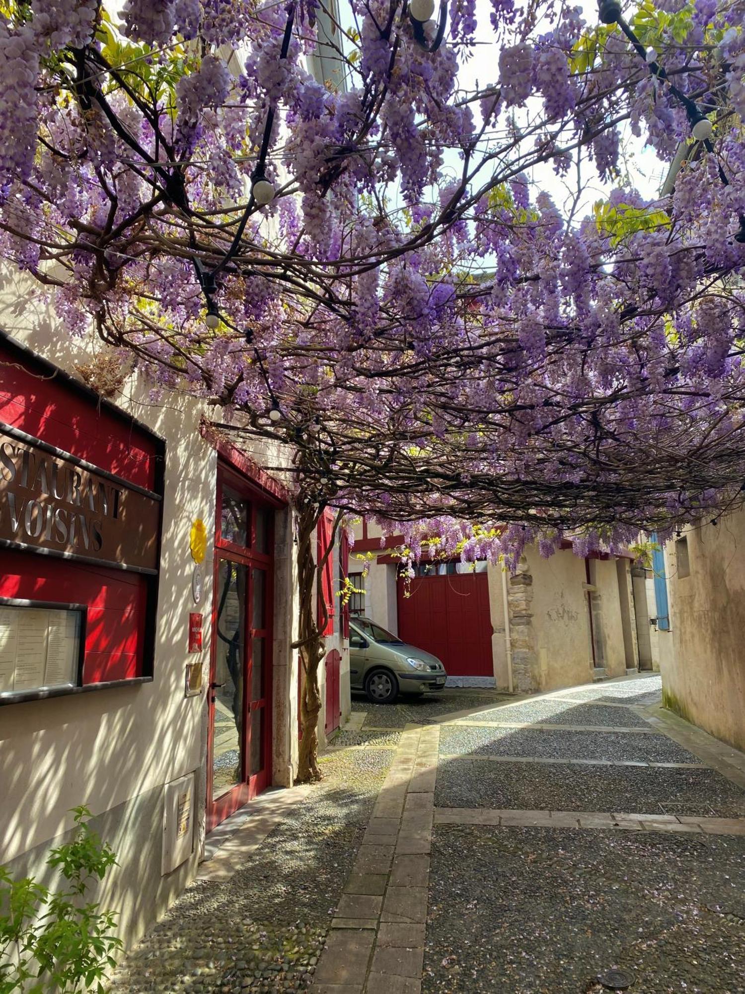 Agreable Petit Gite Avec Piscine Et Jardinet Salies-de-Béarn Exterior photo